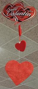 AOBR 2015 02 15 PLAN DE CUQUES ST VALENTIN (6)